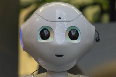 insansı robot