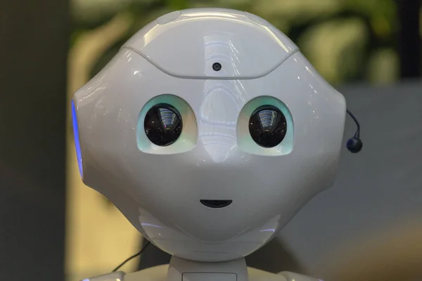 insansı robot