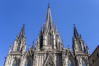 barcelona katedrali
