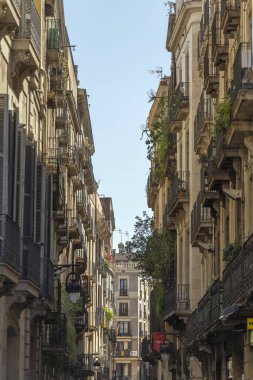 barcelona binası