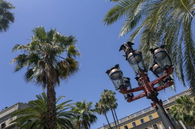 Placa Reial 'daki Amplifikatörler