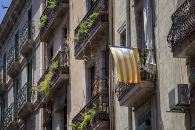 Katalan bayrağını