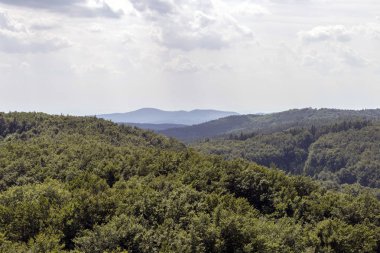 Galya 'dan görünüm-teto