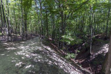 Pilis Dağları'ndaki Ram kanyonu, Macaristan.