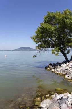 Fonyod'dan Balaton Gölü görünümü, Macaristan.