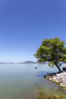 Fonyod'dan Balaton Gölü görünümü, Macaristan.