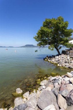 Fonyod'dan Balaton Gölü görünümü, Macaristan.