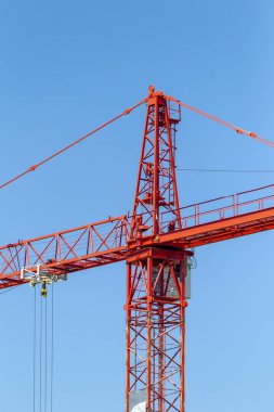 İnşaat alanında turna.