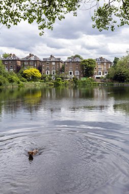 Londra 'daki 2 numaralı Hampstead göleti.