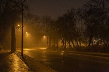Budapeşte 'de bir kış gecesi şehir parkı.
