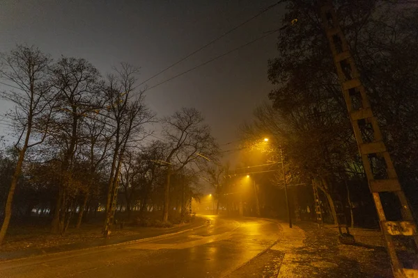 Park miejski w Budapeszcie w zimową noc. — Zdjęcie stockowe