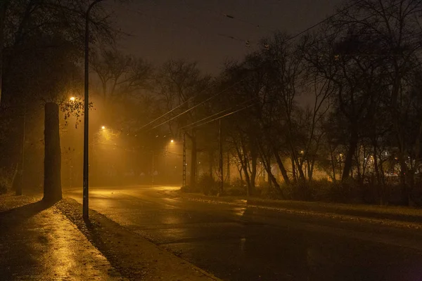 Park miejski w Budapeszcie w zimową noc. — Zdjęcie stockowe