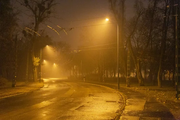 冬の夜にブダペストのシティパーク. — ストック写真