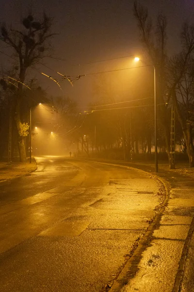 Parco cittadino di Budapest in una notte d'inverno . — Foto Stock