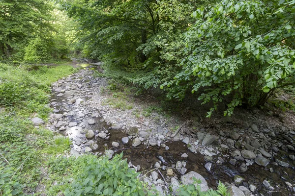 Mały Potok Górach Pilis Węgry — Zdjęcie stockowe