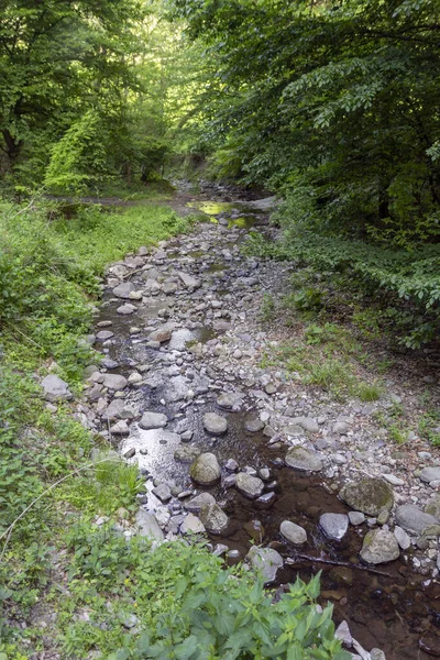 Piccola Insenatura Nelle Montagne Pilis Ungheria — Foto Stock