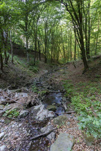 Piccola Insenatura Nelle Montagne Pilis Ungheria — Foto Stock