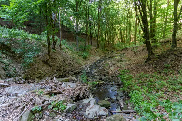 Piccola Insenatura Nelle Montagne Pilis Ungheria — Foto Stock