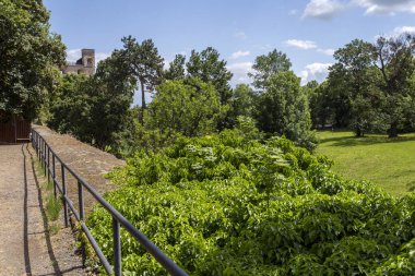 Macaristan 'daki Sarospatak Kalesi' nin avlusunda..