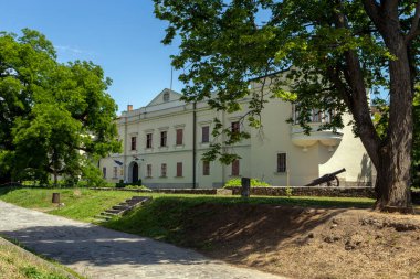 Macaristan 'daki Sarospatak Kalesi' nin avlusunda..