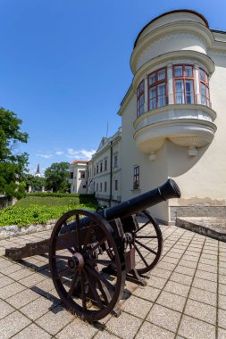 Macaristan 'daki Sarospatak Kalesi' nin avlusunda top var..