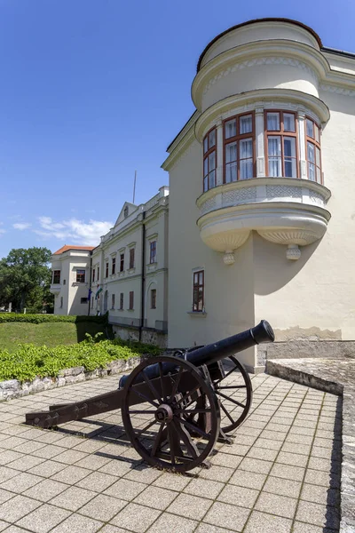 Cannone Nel Cortile Del Castello Sarospatak Ungheria — Foto Stock