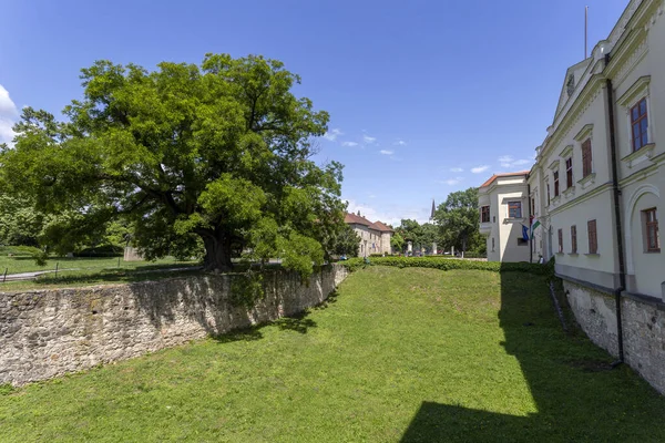 Cortile Del Castello Sarospatak Ungheria — Foto Stock