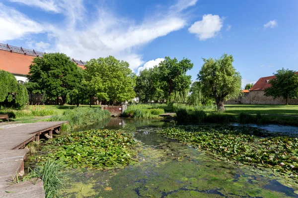 Parc Château Rakoczi Szerencs Lors Une Journée Été Hongrie — Photo