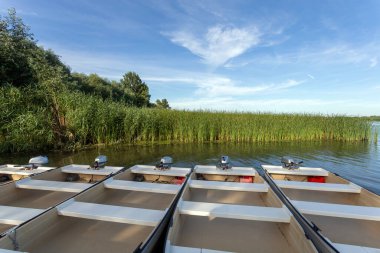 Sıcak bir yaz gününde Poroszlo 'da Tisza Gölü.