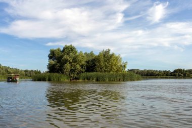 Sıcak bir yaz gününde Poroszlo 'da Tisza Gölü.