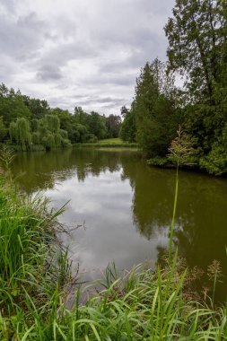 Bulutlu bir yaz gününde Vacratot (Macaristan) Botanik Bahçesinde küçük bir gölet.