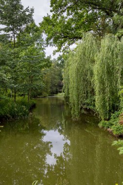 Bulutlu bir yaz gününde Vacratot (Macaristan) Botanik Bahçesinde küçük bir gölet.