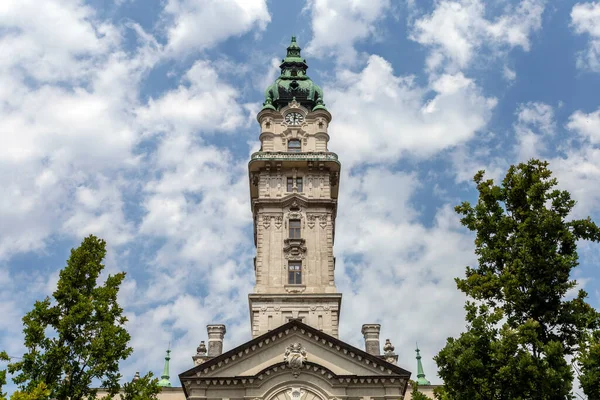 Rathaus Von Györ Ungarn Einem Sommernachmittag — Stockfoto