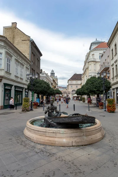 Gyor Hungary 2020 Statue Boatman Old Center Gyor Hungary — Stock Photo, Image