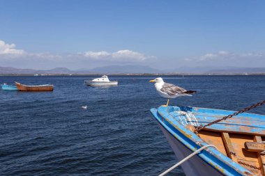 Sant 'Antioco, İtalya - 07 18 2020: Sant' Antioco, Sardunya limanında balıkçı tekneleri