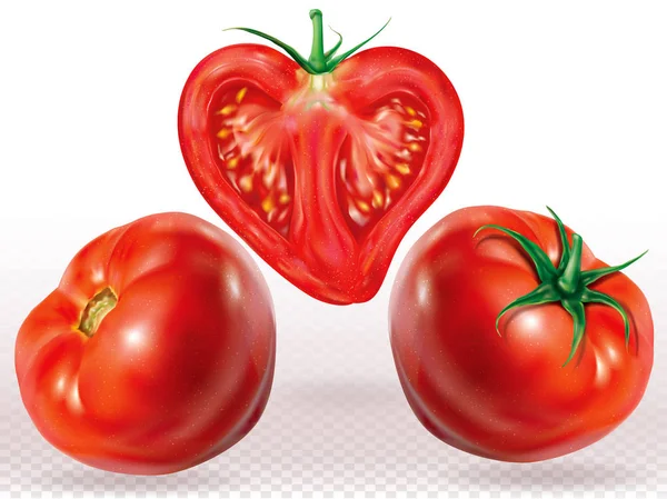 Tomatos Utuh Dan Diiris Pada Latar Belakang Transparan Putih Ilustrasi - Stok Vektor