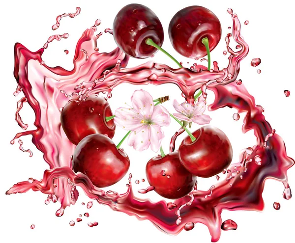 Cherry Burst Splashes Juices White Vector Illustration — Stock Vector