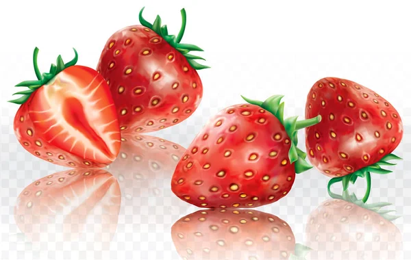 Strawberry White Transparent Background Vector Illustration — Stock Vector