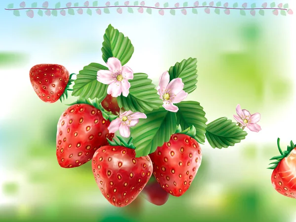 Erdbeerfrüchte Mit Blättern Und Blüten Auf Grünem Hintergrund Vektorillustration — Stockvektor