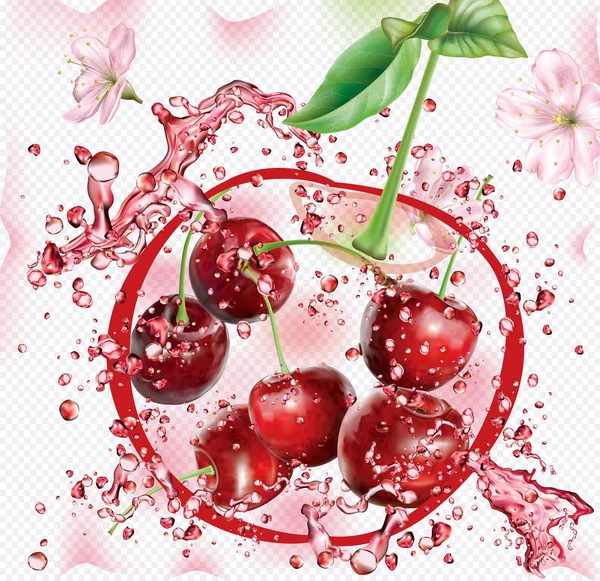 Splashes Fresh Juice Background Cherry Silhouette Mesh Vector Illustration — Stock Vector