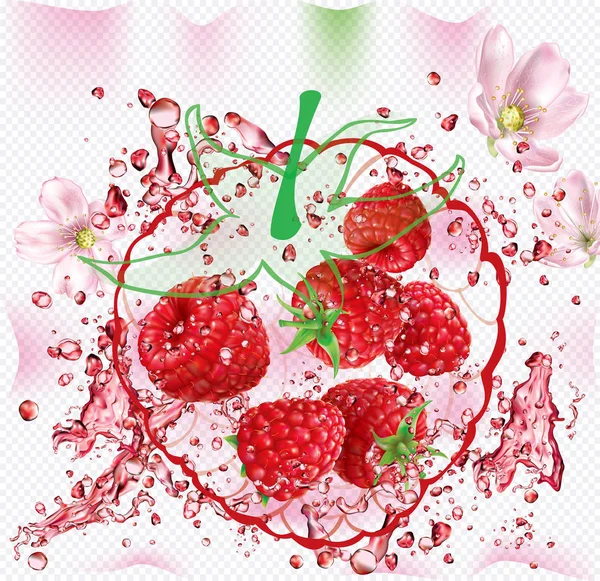 Splashes Fresh Juice Background Raspberry Silhouette Mesh Vector Illustration — Stock Vector
