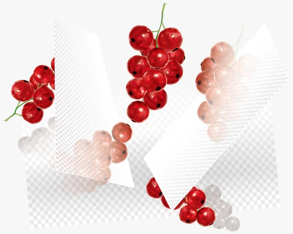 Currant Red Abstract Transparent Background Vector Mesh Illustration — Stock Vector