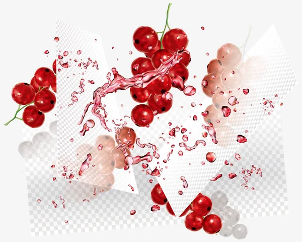 透明の抽象的な背景のスグリ赤とジュースのスプラッシュ ベクトル メッシュ図 — ストックベクタ