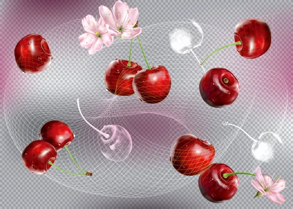 Kirsche Und Blume Auf Einem Abstrakten Transparenten Hintergrund Vektornetzabbildung — Stockvektor
