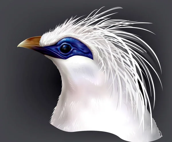 Hlavu Bali Michal Leucopsar rothschildi vzácný endemický pták — Stockový vektor