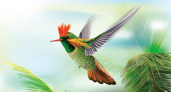 Hummingbird tufted coquette Lophornis ornatus over palm leaves — Stock Vector