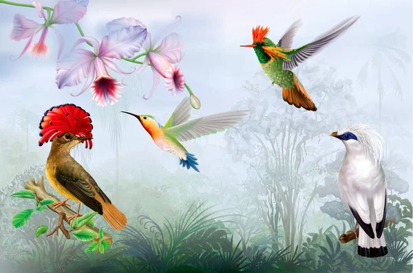 Tropikalne jasne ptaki i Koliber na tle lasu deszczowego — Wektor stockowy