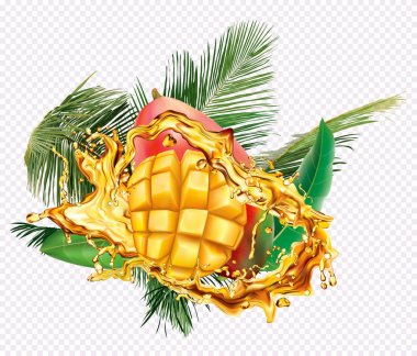 Meyve suları sıçramaları içine Mango