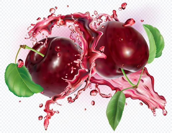 Plums into splashes of juices — Stock Vector