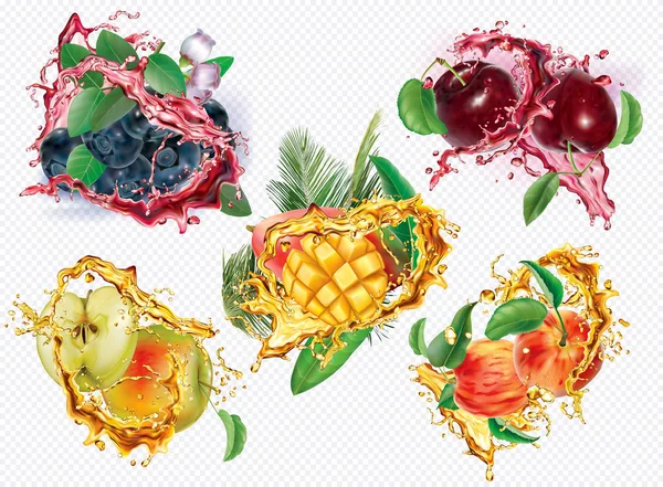 苹果， 梅花， 桃子， 蓝莓， 芒果在果汁飞溅 — 图库矢量图片